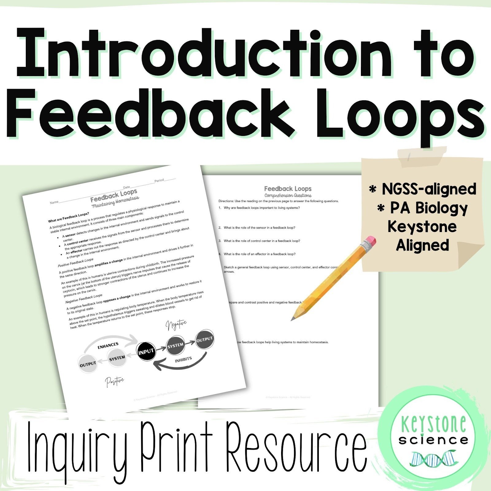 Positive Feedback Biology Examples Worksheet