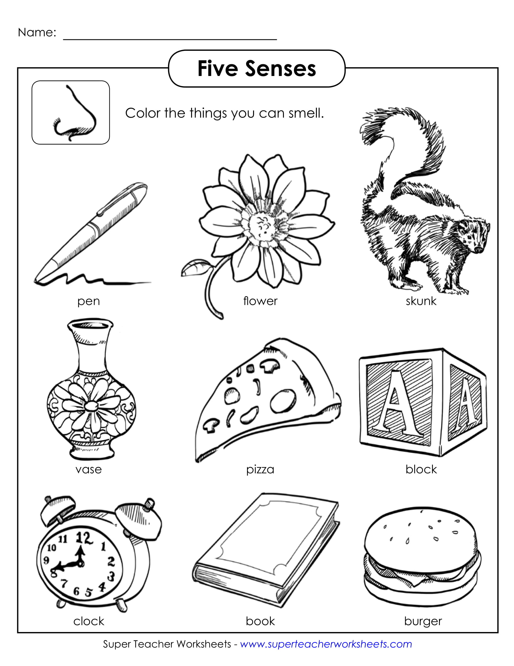 5 Science Worksheets For Students Examples