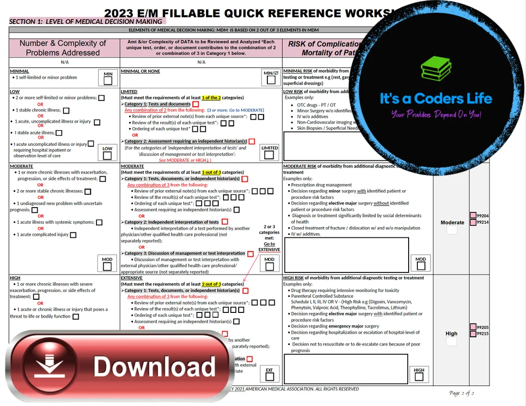 AMA 2023 FILLABLE PDF Outpatient E M Audit Tool Worksheet Improve Data Input With This Efficient Worksheet Grid printable Digital Copy Etsy