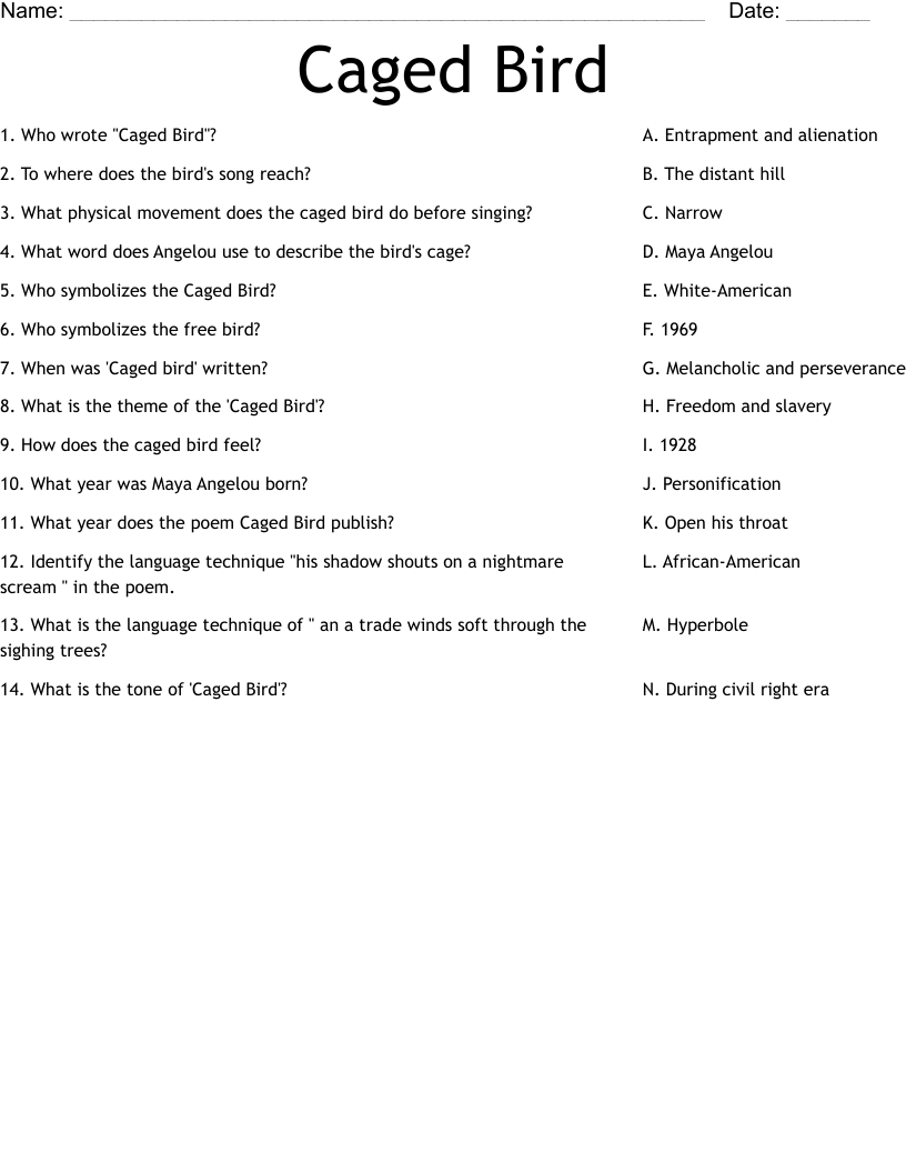 Example Of A Cage Worksheet