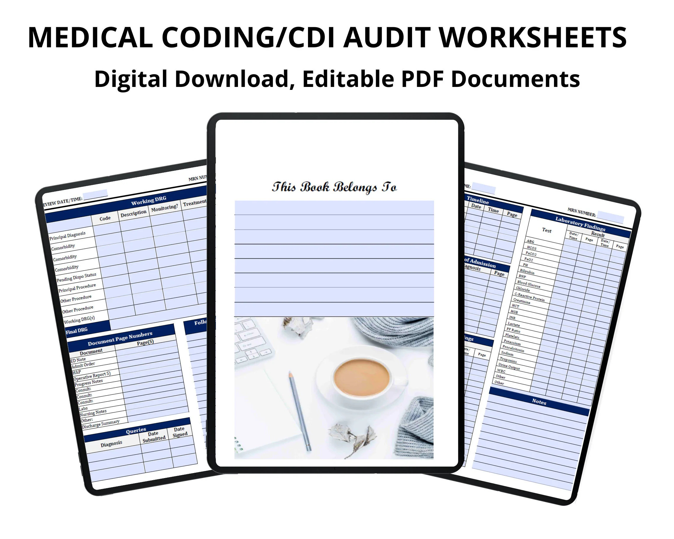 E&M Documentation Auditors Worksheet Example