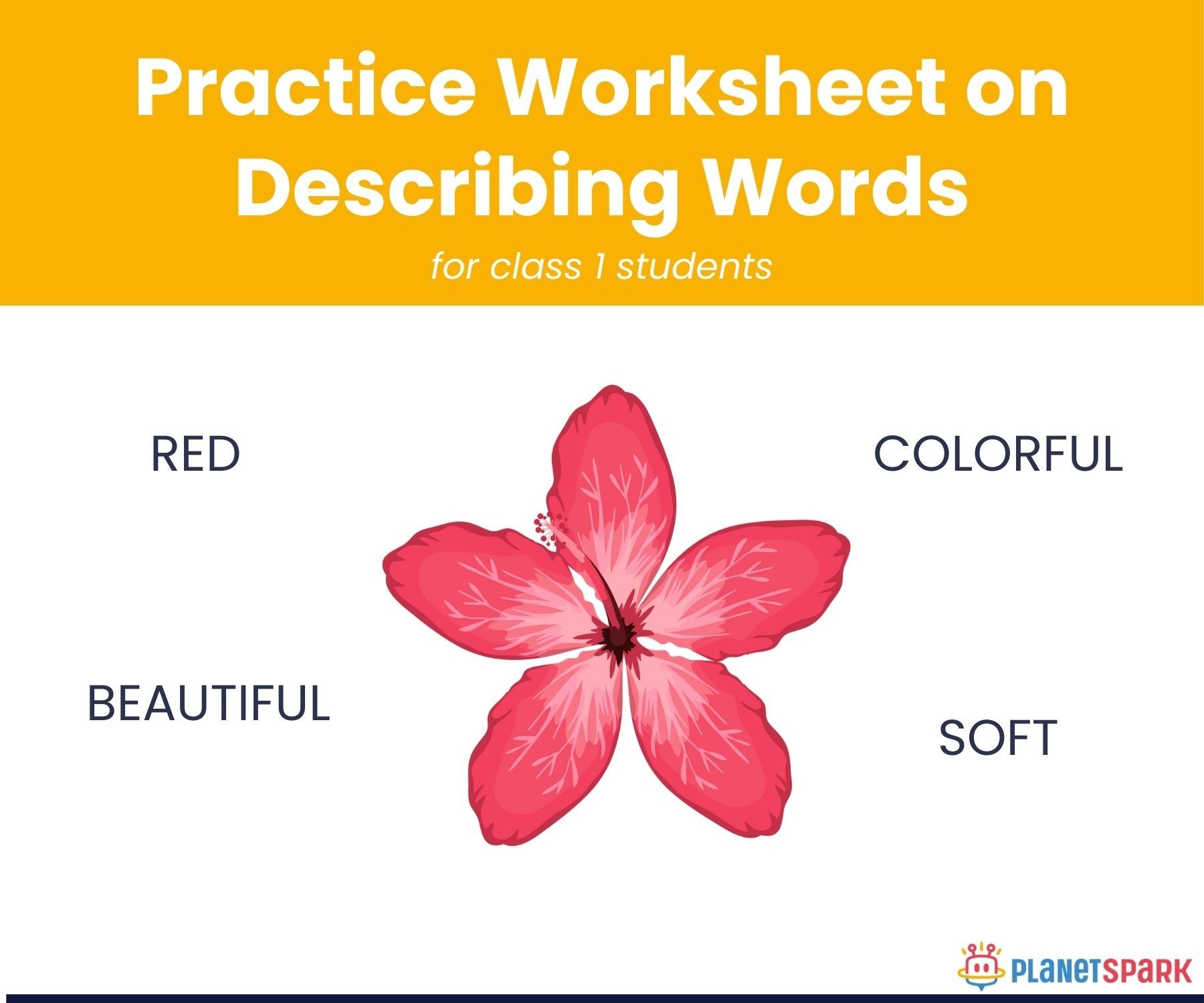 Example Describing Objects Worksheet Pdf