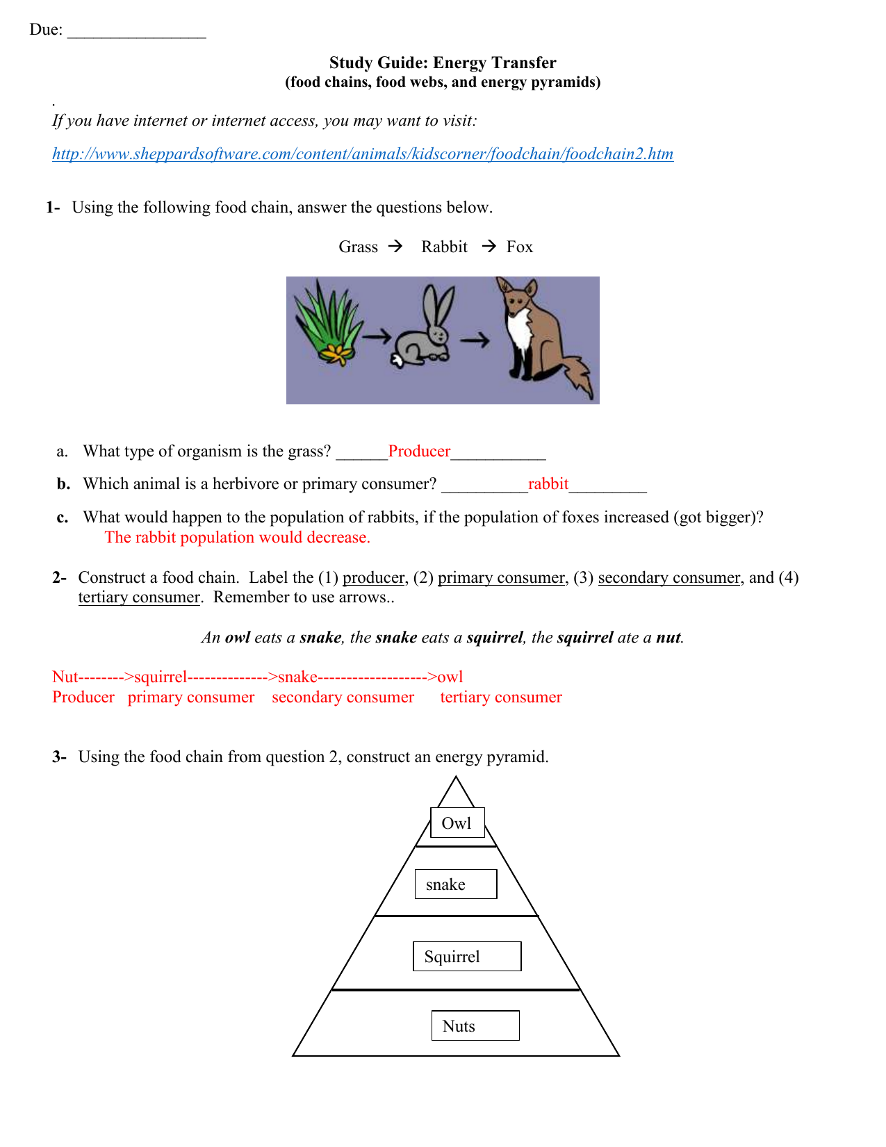 Energy Transfer Pyramid Example Worksheet Energy Transfer Pyramid Example Worksheet
