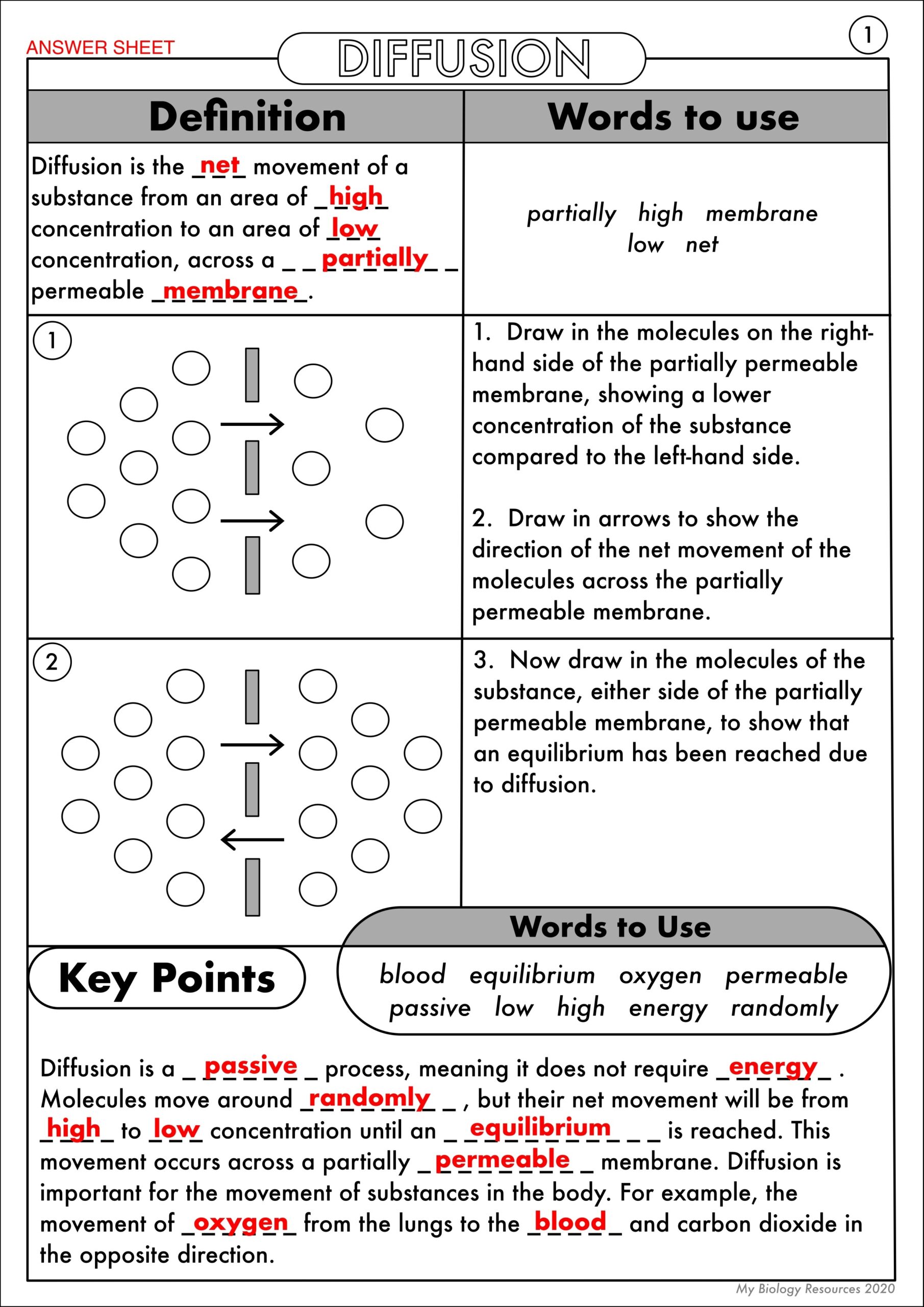 GCSE Biology Diffusion Osmosis And Active Transport Worksheet Pack Teaching Resources