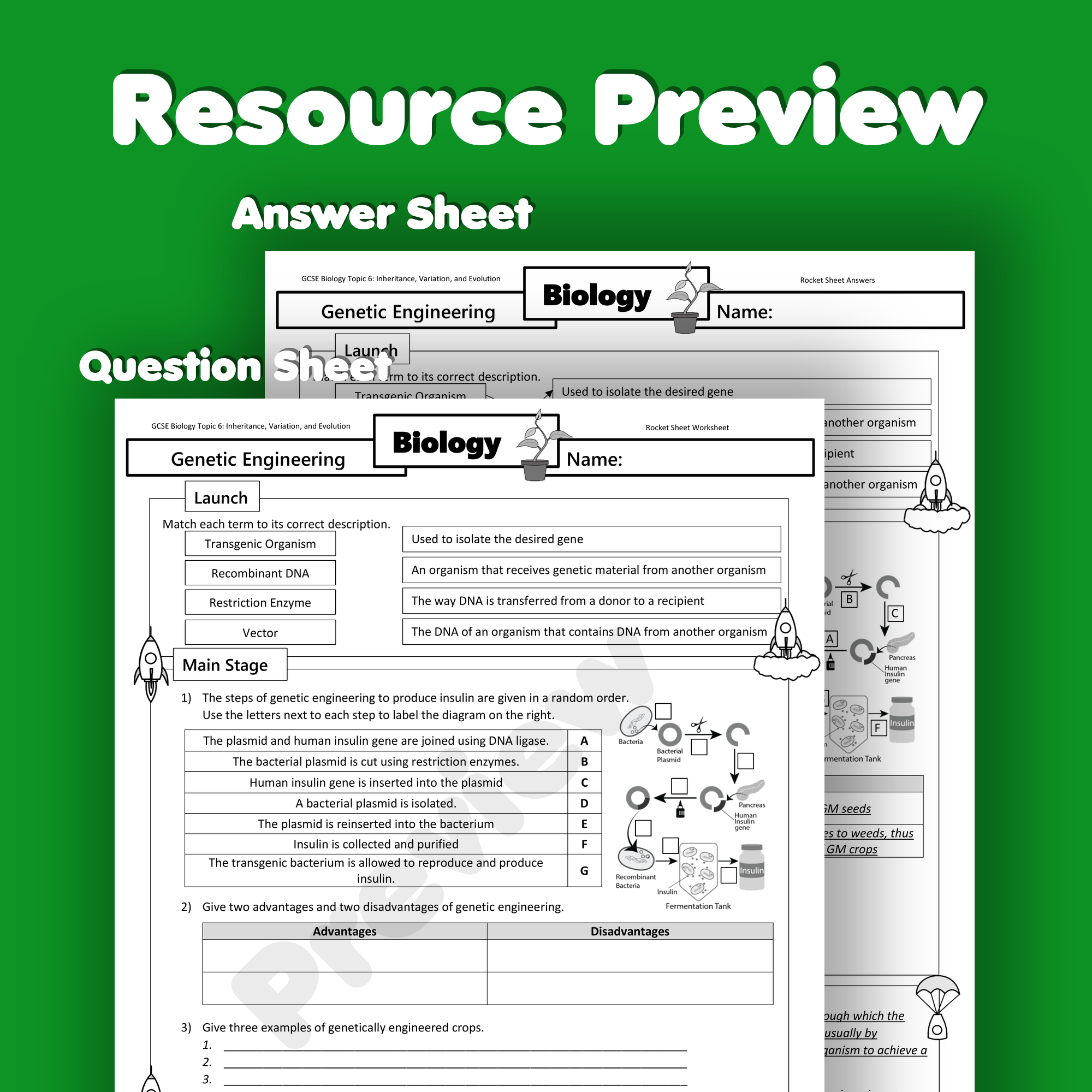 Genetic Engineering Home Learning Worksheet GCSE Teaching Resources