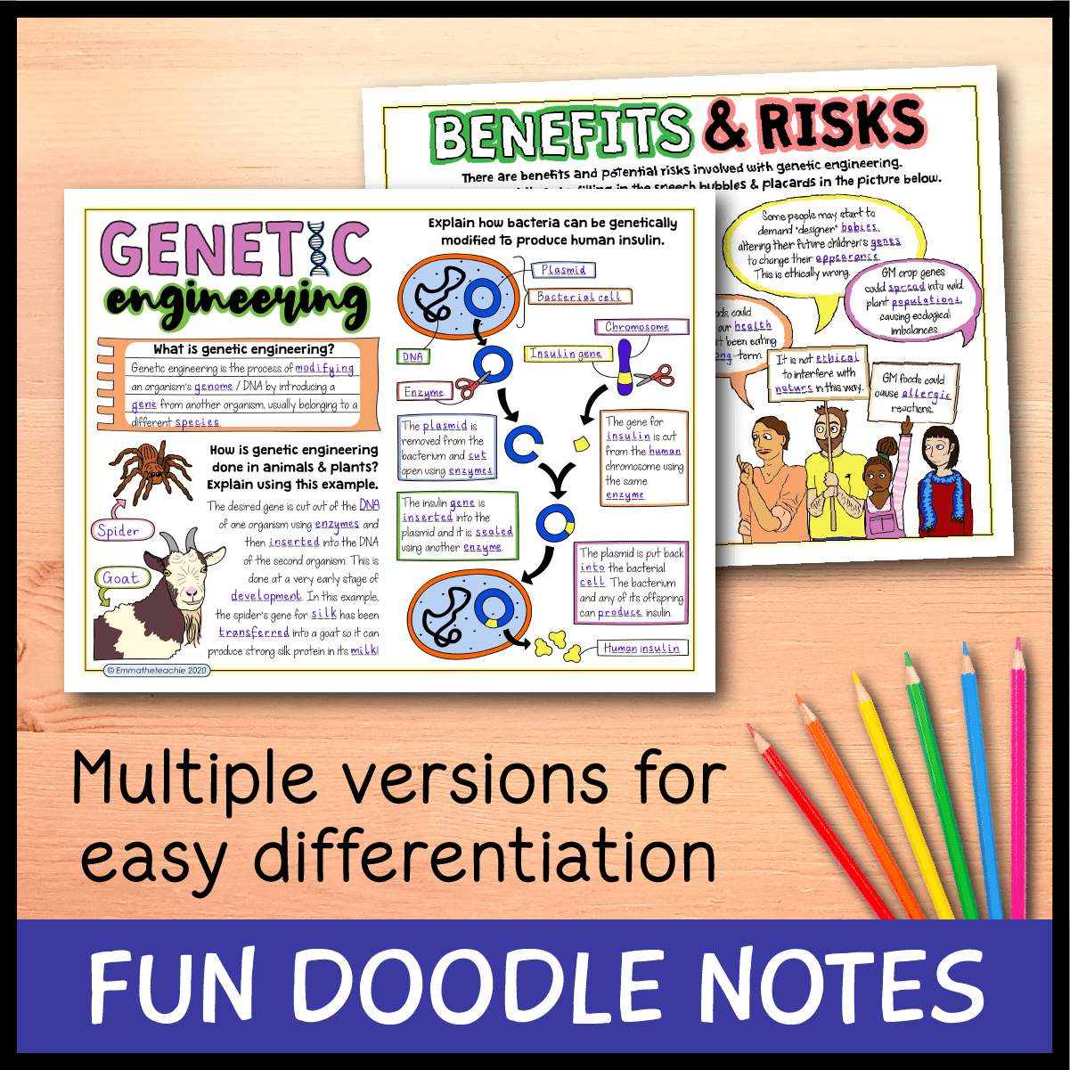Genetic Engineering Lesson Bundle Emmatheteachie Resources