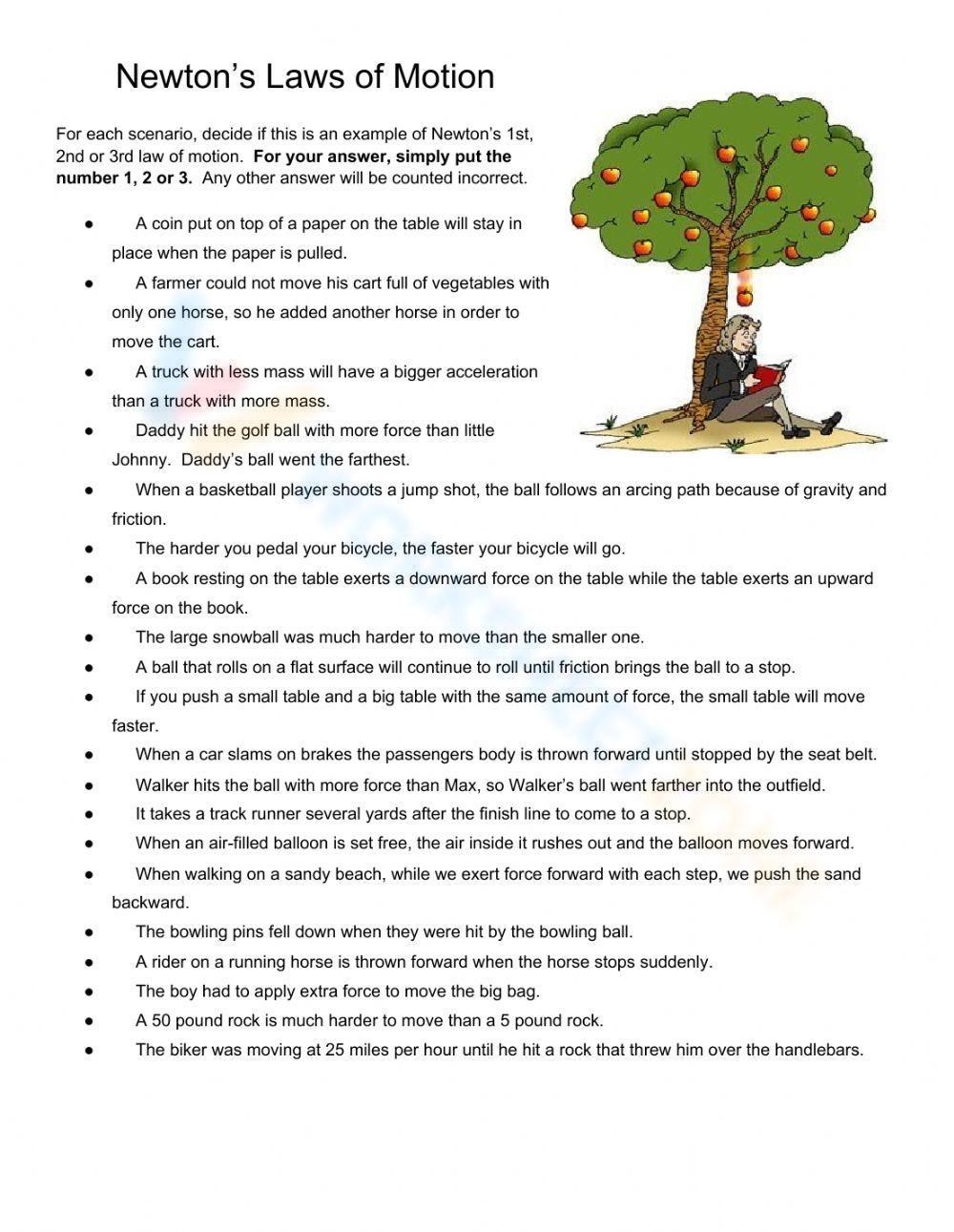Grade 10 Newton s Laws Worksheets Printable