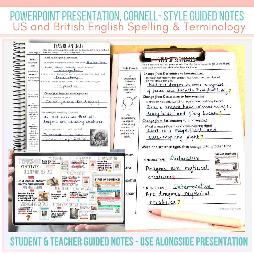 Kinds Of Sentences Types Of Sentences Super Bundle