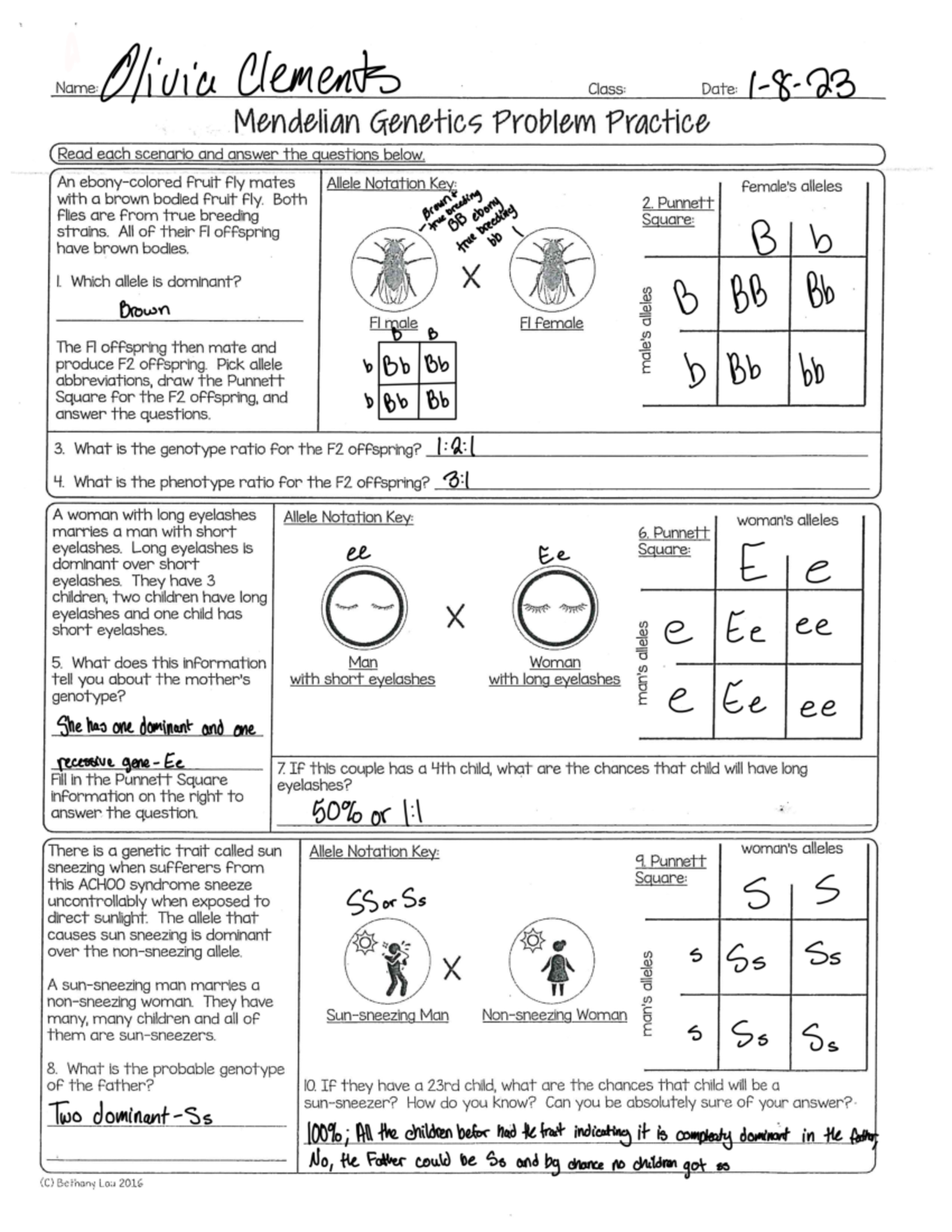 Mendelian Genetics Practice 1 3 And 4 6 Name Olivia Clements Class Date Mendelian Genetics Studocu