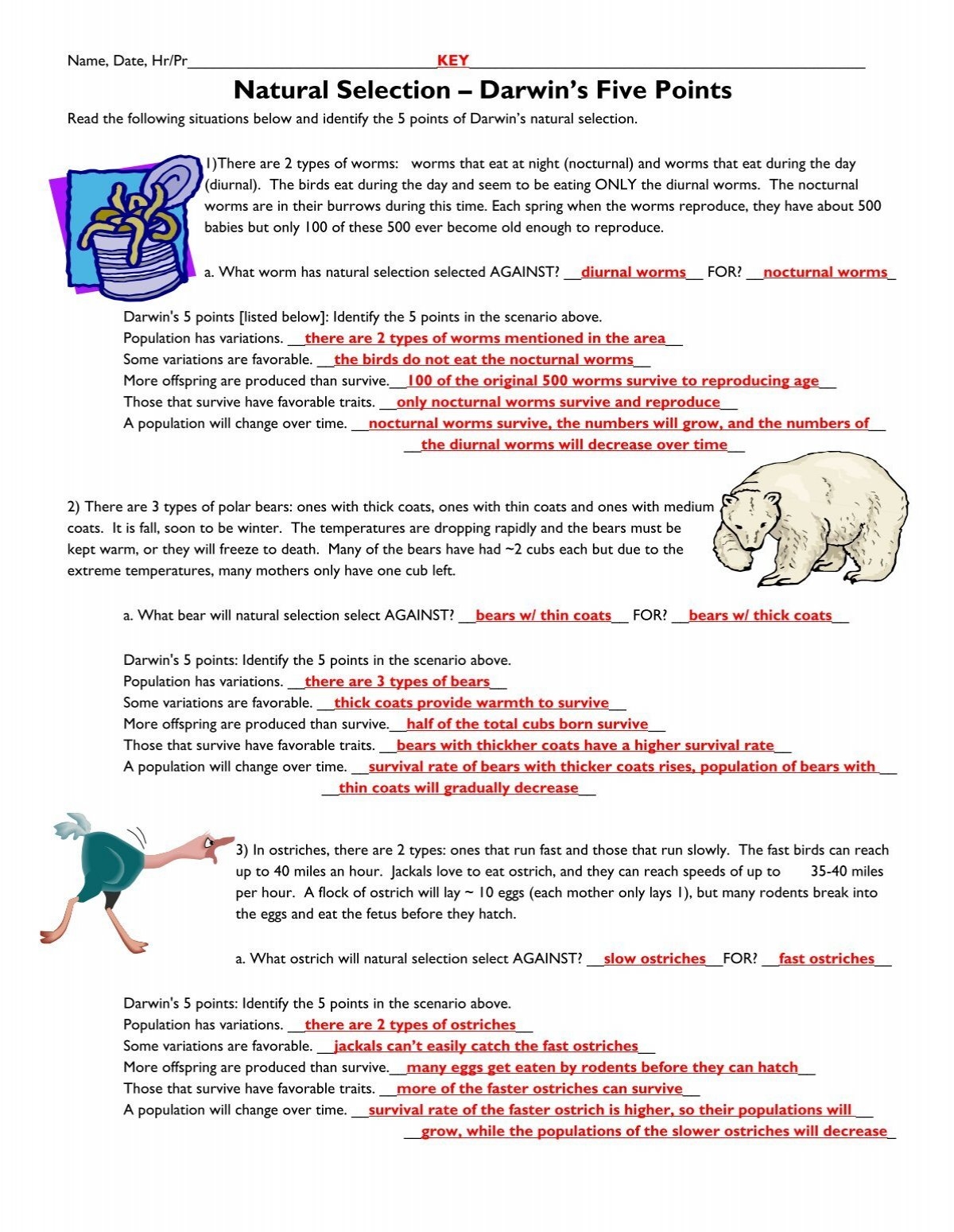 10 Examples Of Natural Selection Worksheet