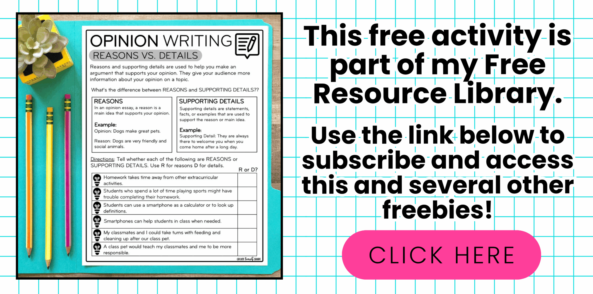 Identify The Opinion Reason Example Worksheet