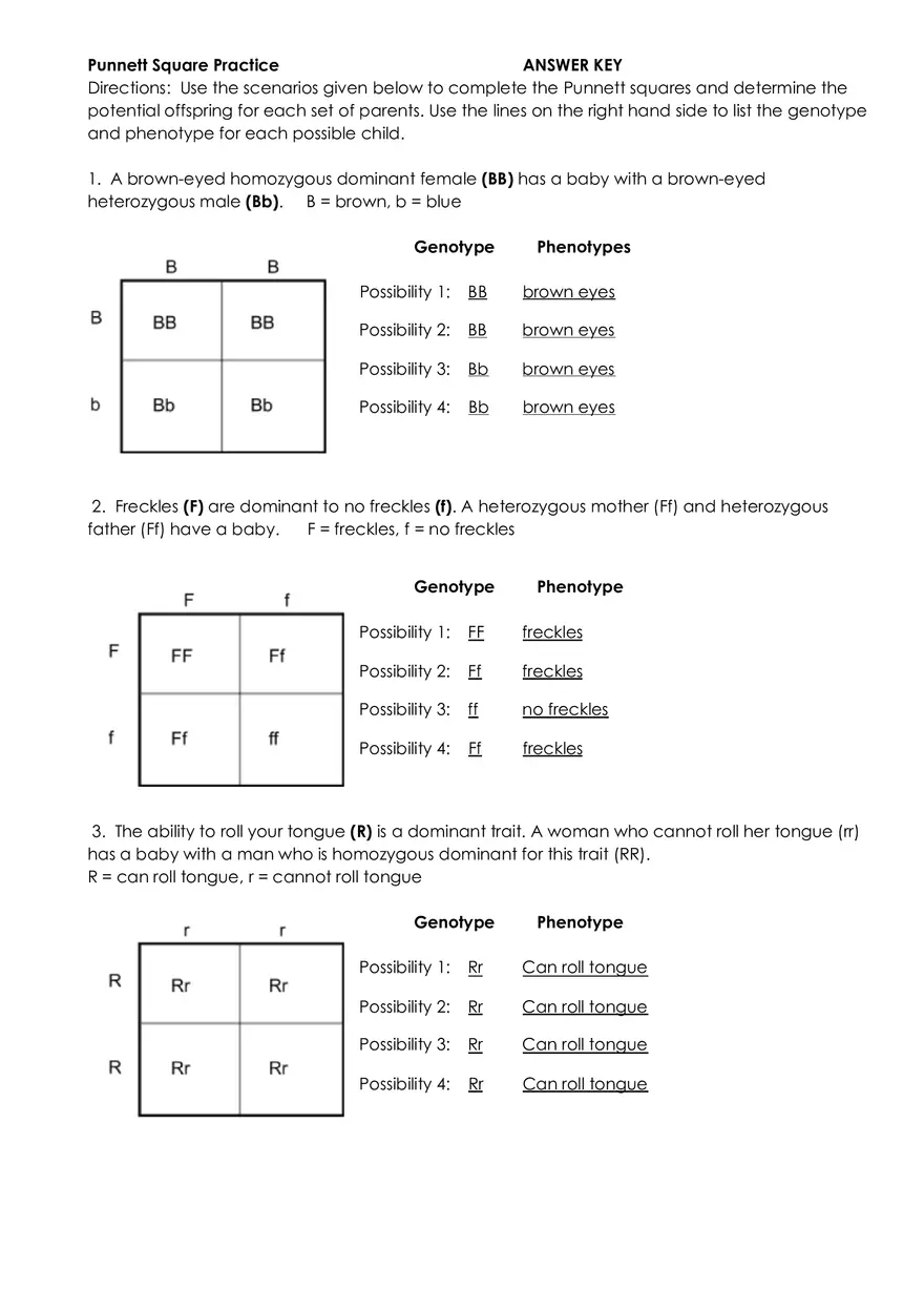 Punnett Square Practice Exam Edubirdie