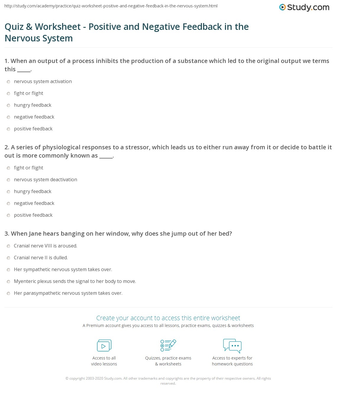 Quiz Worksheet Positive And Negative Feedback In The Nervous System Study
