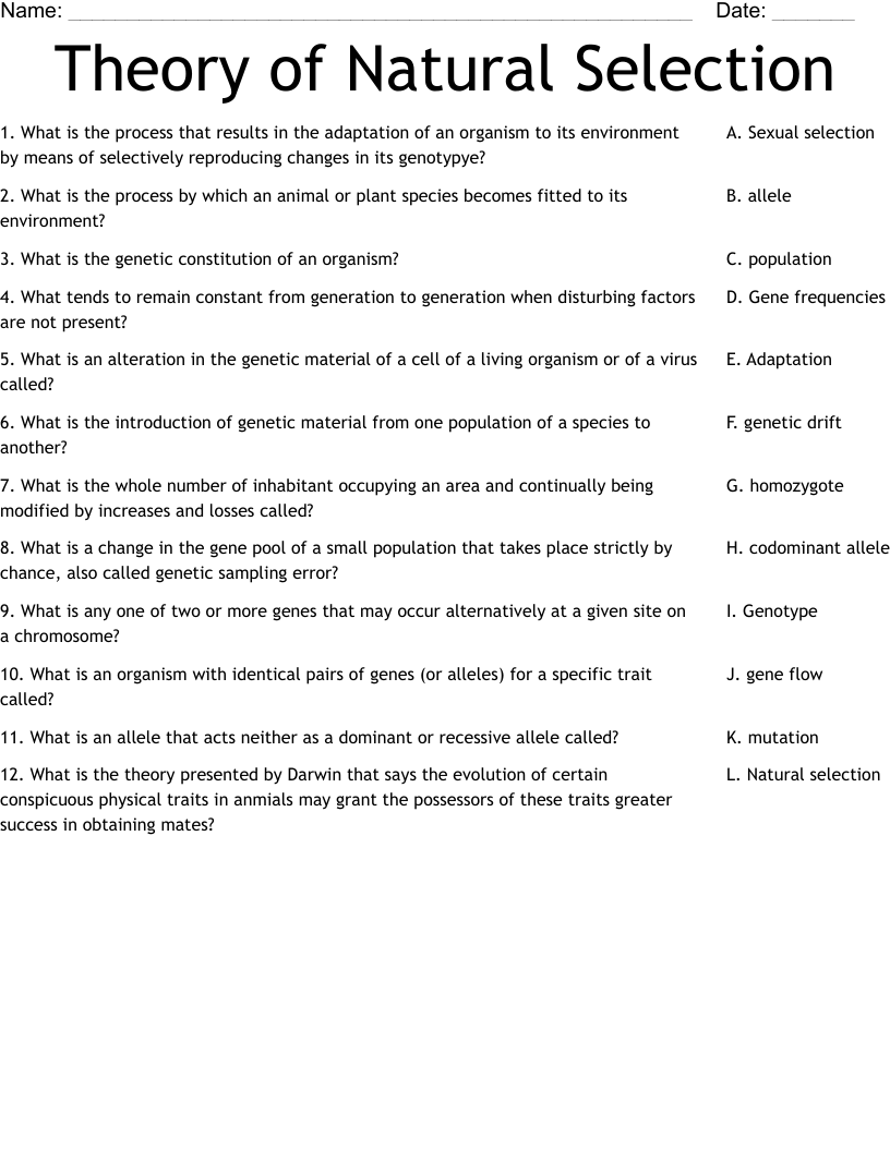 Theory Of Natural Selection Worksheet WordMint